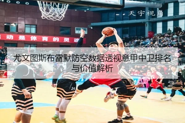 尤文图斯布雷默防空数据透视意甲中卫排名与价值解析